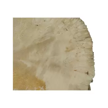 Plaster Wierzby z Czeczotą 48x44x5cm